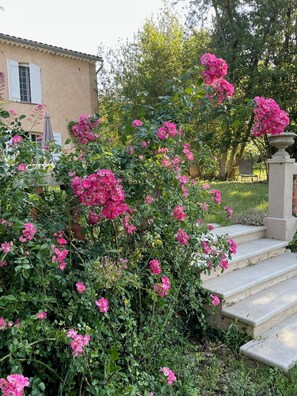 Property grounds - A haven of peace in a protected natural area. (Le Luc)