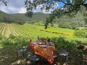 Outdoor dining - A haven of peace in a protected natural area. (Le Luc)