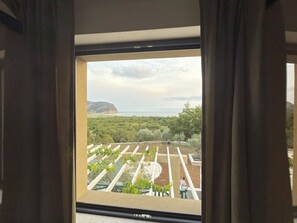 A window view of a vineyard with rows of grapevines and a person tending to the plants.