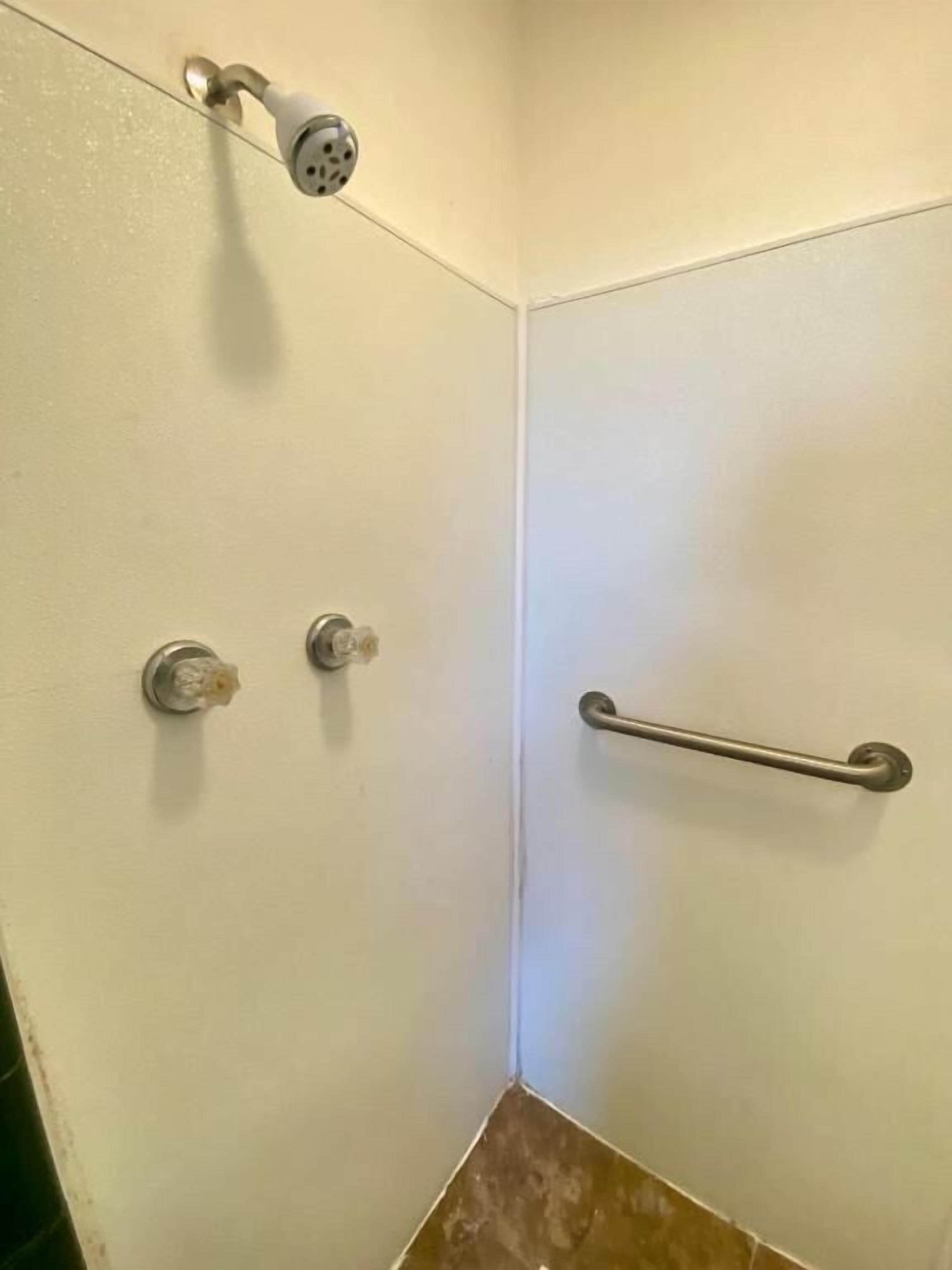 Deluxe Double Room | Bathroom | Shower, towels, soap, shampoo