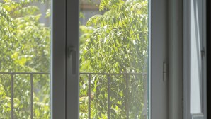 Vista a través de una puerta con marco blanco y barandilla metálica, que da a un balcón con vegetación.