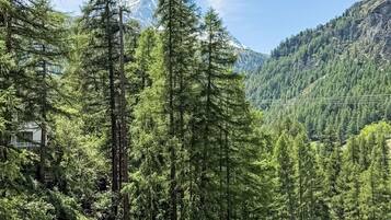 Speisen im Freien