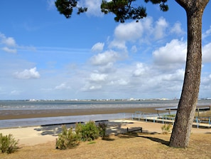 A beach with a tree, a bench, and a view of the sea and distant buildings. - L'Estuaire by Interhome (Saint Brevin les Pins)