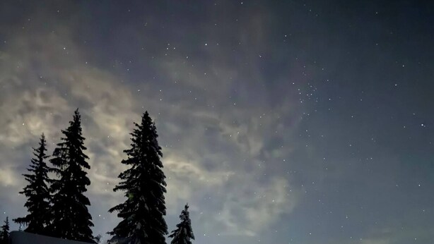A log cabin with two lit windows, surrounded by snow and tall trees under a starry sky. - Cottage in the Forest (Lillehammer)