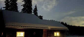 Cottage in the Forest