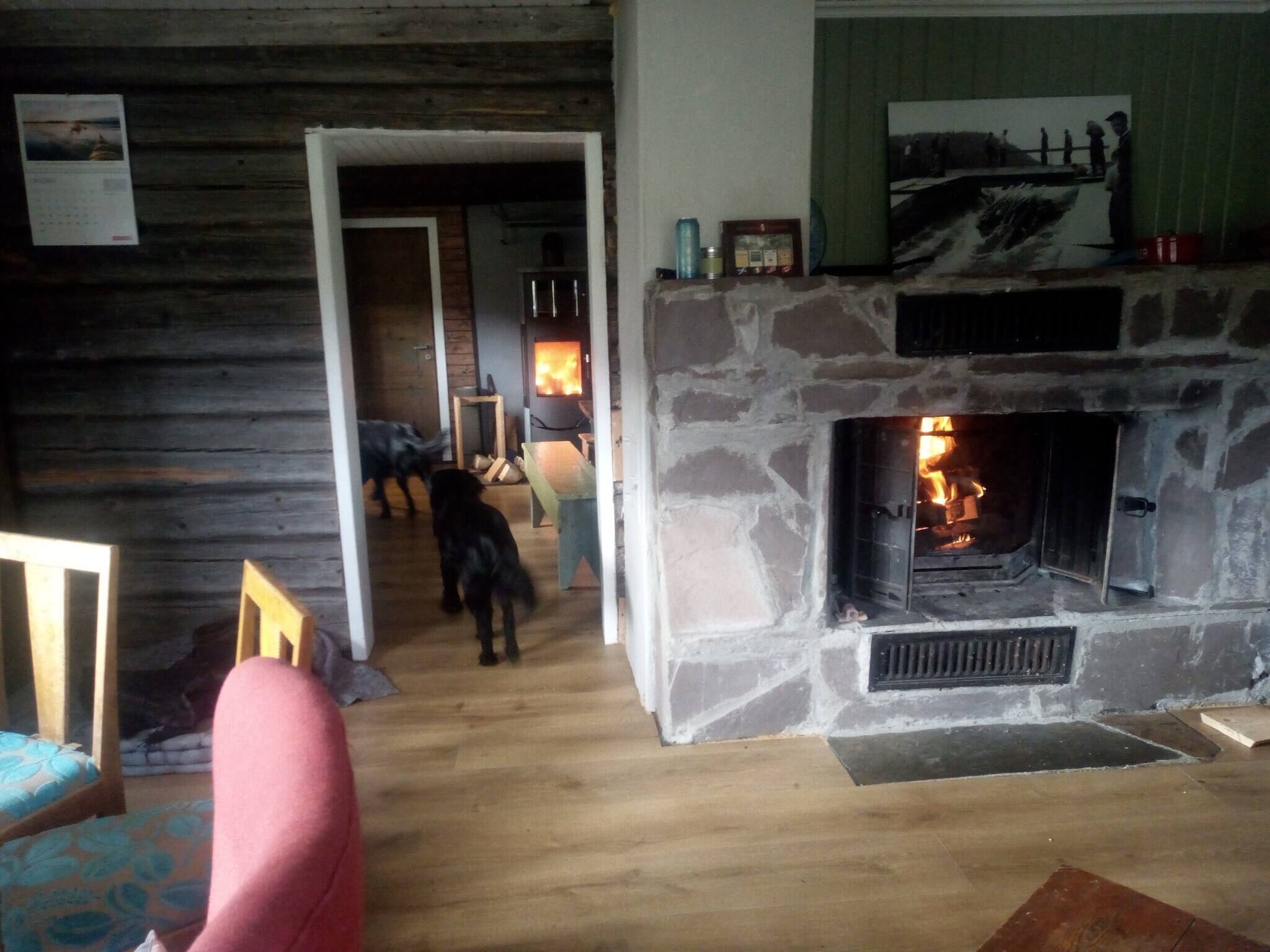 Una chimenea de piedra con fuego, una puerta de madera que da a otra habitación, y un perro caminando por el umbral.