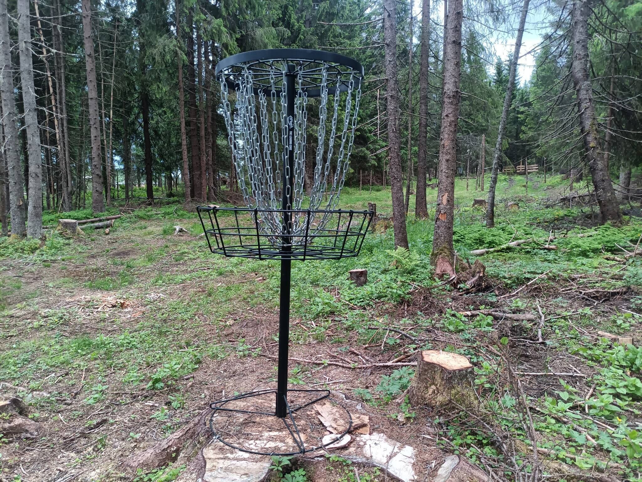 A disc golf basket in a forested area.
