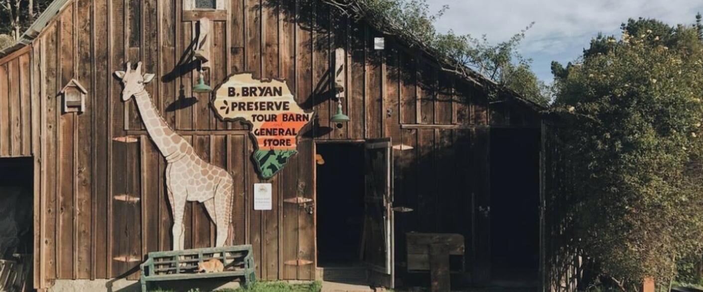 Ein hölzernes Bauernhaus mit einer Giraffenskulptur, einem Schild für die B. Bryan Preserve Tour Barn und einem allgemeinen Laden.
