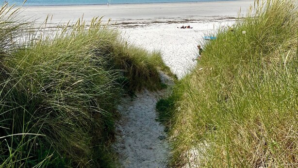 En stig som leder genom sanddynerna och ut till en sandstrand, med en klarblå himmel och ett avlägset landskap i horisonten.