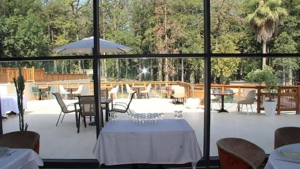 Een terras met tafels en stoelen, grote ramen en uitzicht op bomen.