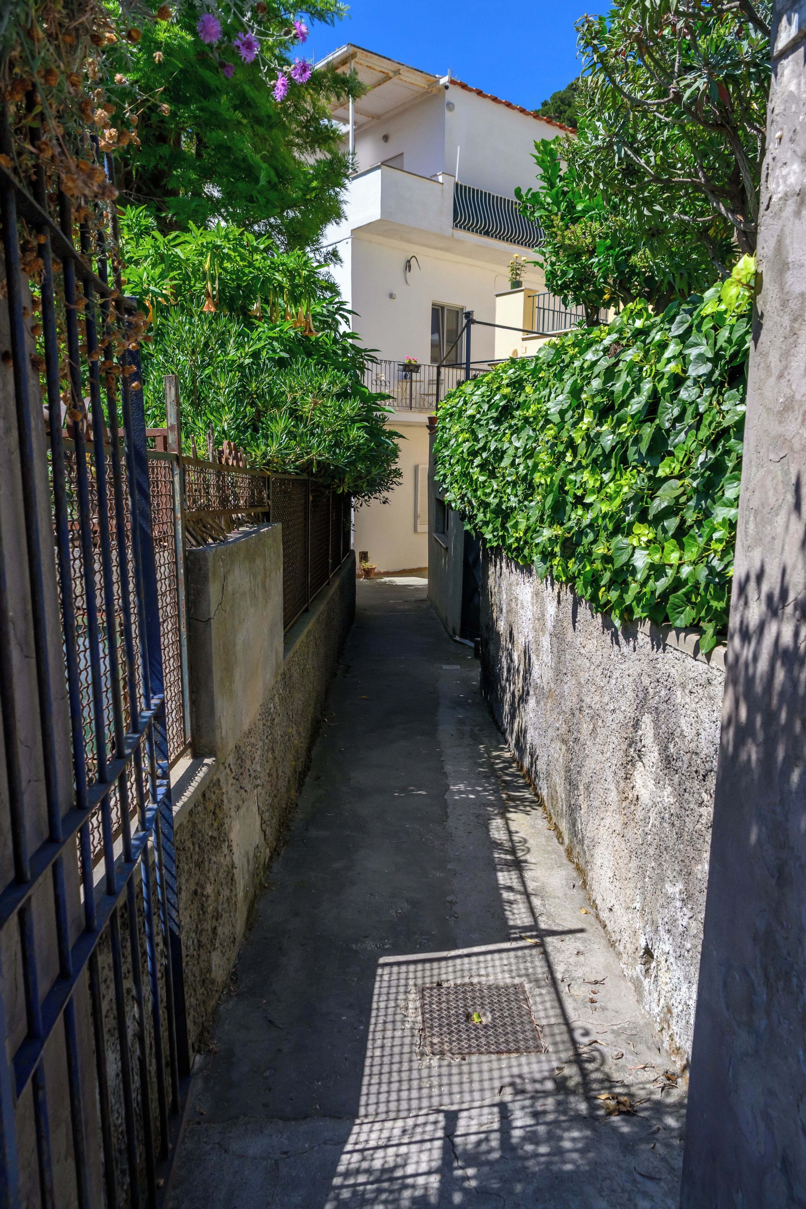 Property grounds