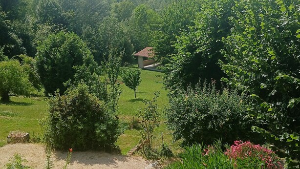 A lush garden with various plants and a small building. - Atchoum Vacation Rental (Hostun)