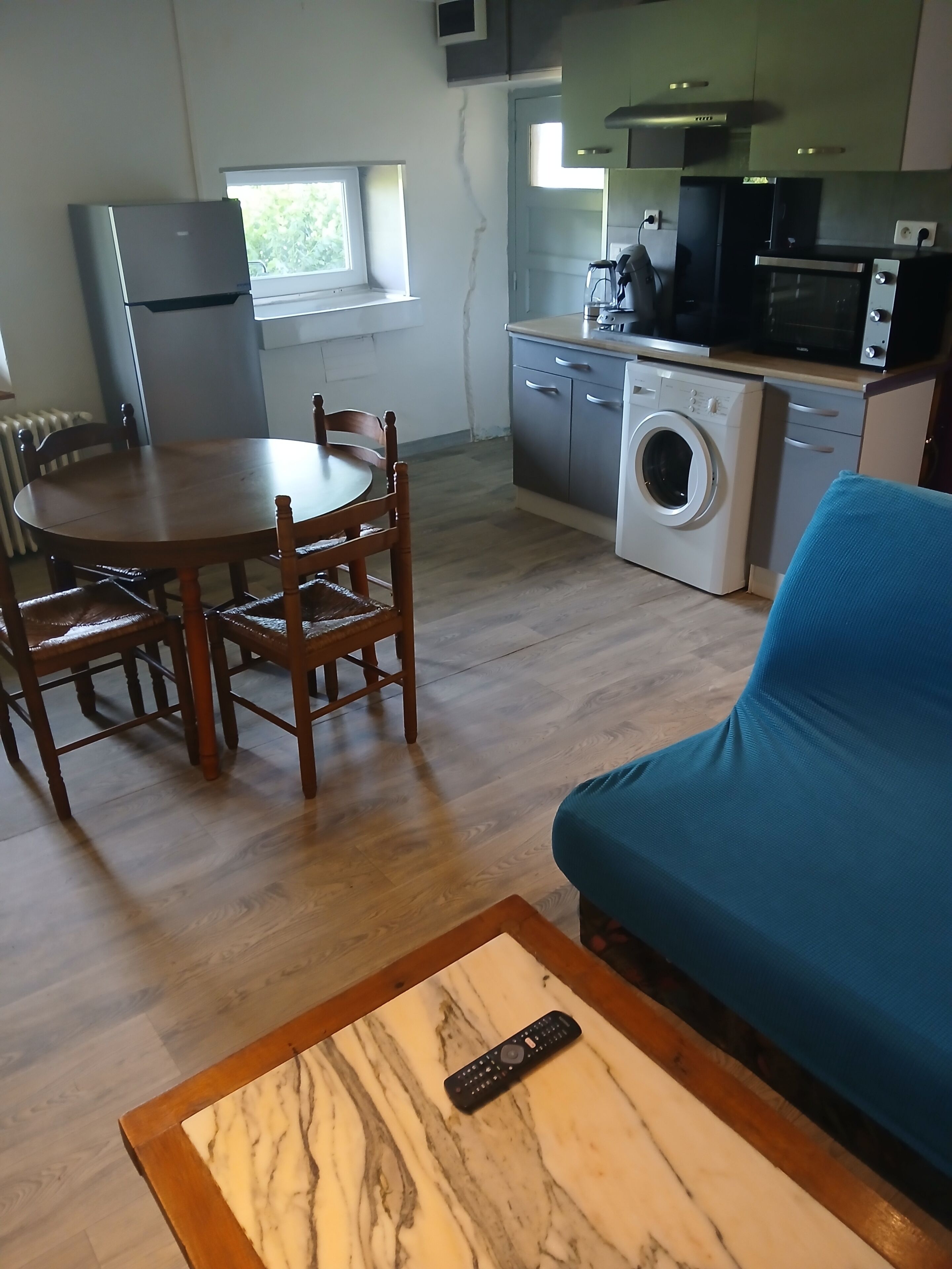 A compact living space with a dining table, chairs, a sofa, a washing machine, a microwave, and a refrigerator.