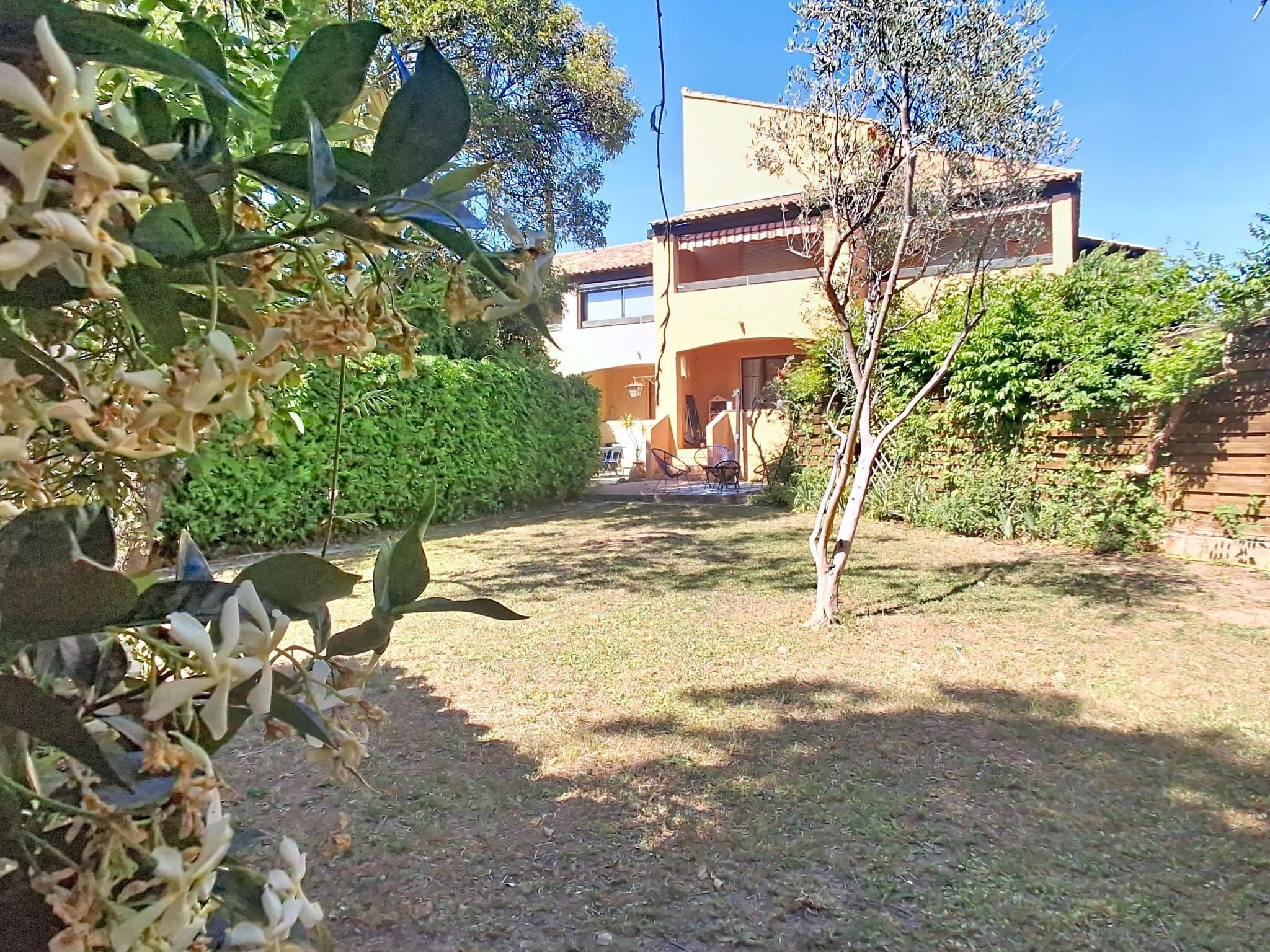 Ein Wohngebiet mit einem Haus, einem Rasen und einem Baum.