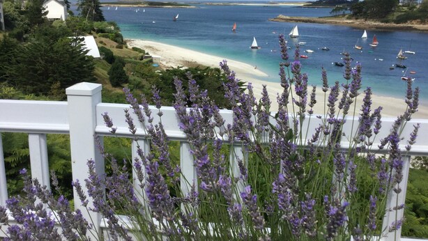 A coastal view with a beach, sailboats, and lavender plants in the foreground. - Superb Sea Views Private Beach Access (Saint-Pabu)