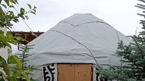 Une yourte dotée d’une porte en bois décorative, entourée de verdure et de plantes en pot.