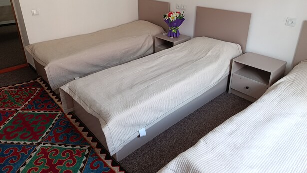 Une chambre d’hôtel avec deux lits simples, une petite table de chevet ornée d’un vase de fleurs et un tapis aux couleurs vives.