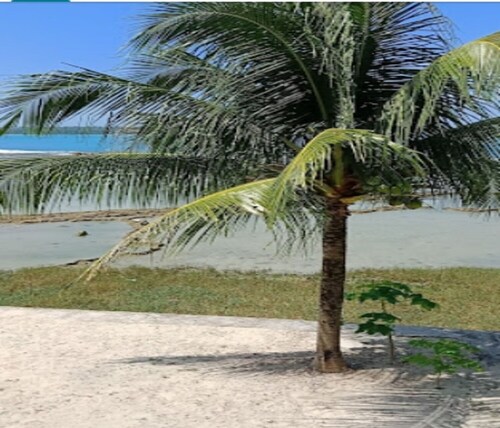Cozzy  Oichoda Nias Surf Camp
