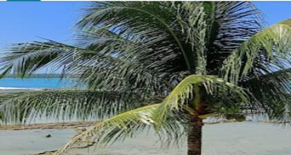 Cozzy Oichoda Nias Surf Camp