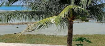 Cozzy Oichoda Nias Surf Camp