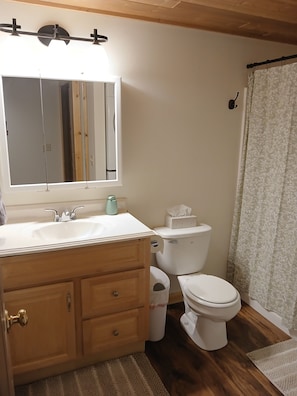 Hair dryer, towels, soap, shampoo