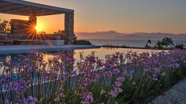 Una piscina con flores moradas, un pilar de piedra y vistas al atardecer.