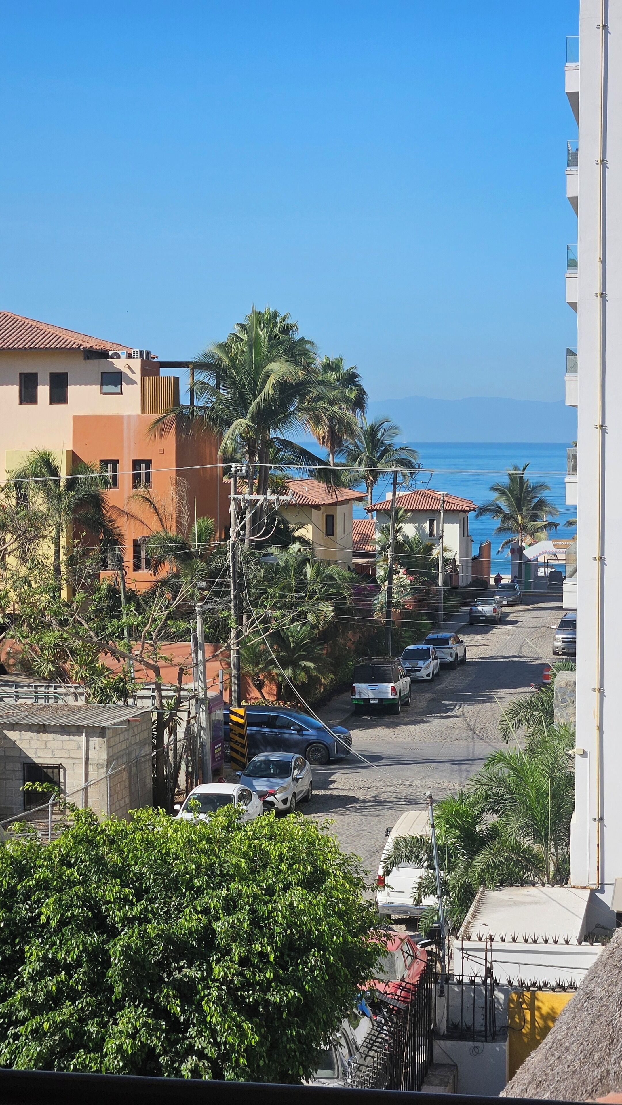 A coastal street with buildings, parked cars, and palm trees.