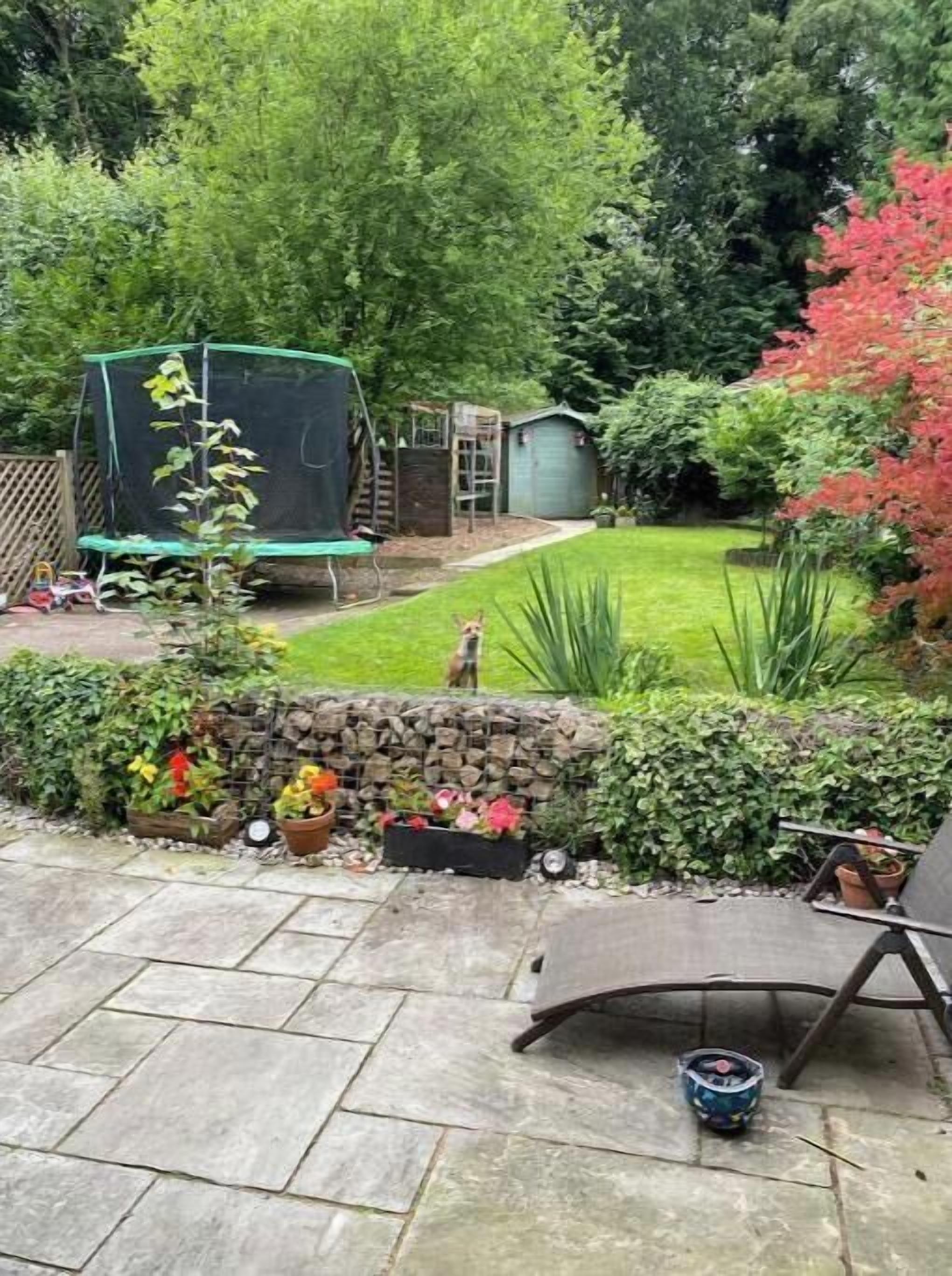 Terrasse/patio