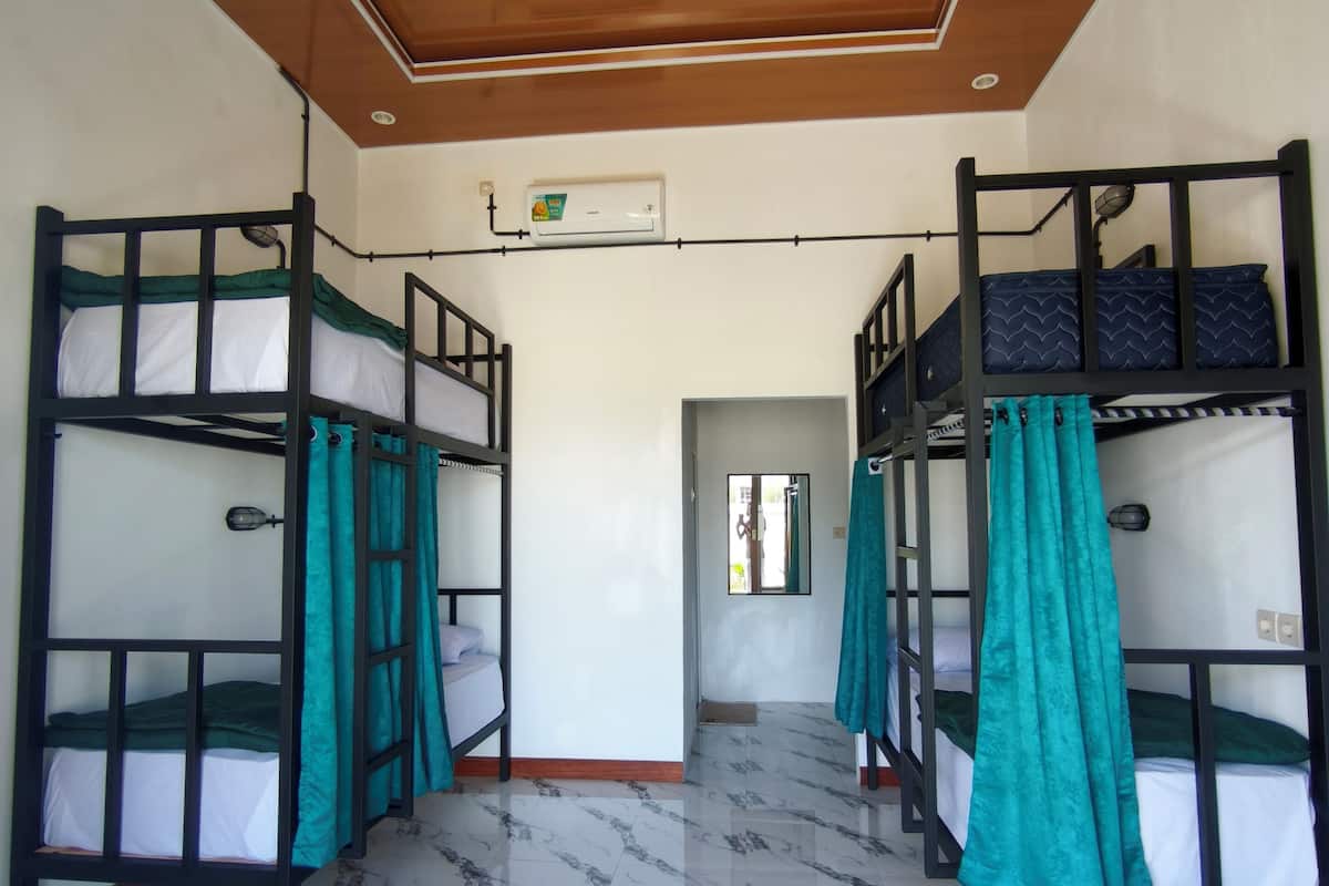 Basic Shared Dormitory, Patio, Park View