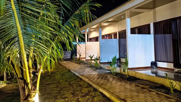 Un edificio moderno con un sendero pavimentado, palmeras y fachada bien iluminada.