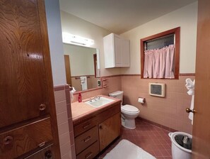 Hair dryer, towels, soap, toilet paper - Auntie's Almost-Country Place (Columbus)