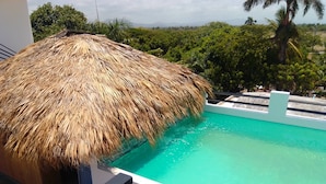 A pool with a thatched roof structure, surrounded by lush greenery and a clear sky. - Macao sky pool suites (Punta Cana)