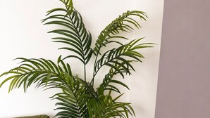 A room with a green sofa, a large potted plant, a small wooden table with a vase of yellow flowers, and a decorative item. - Spacious 3BR Hartlepool Stay | Contractor Friendly (Hartlepool)