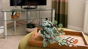 A living room with a flat-screen TV, glass shelves, a wooden tray with plants, and a striped curtain. - Spacious 3BR Hartlepool Stay | Contractor Friendly (Hartlepool)
