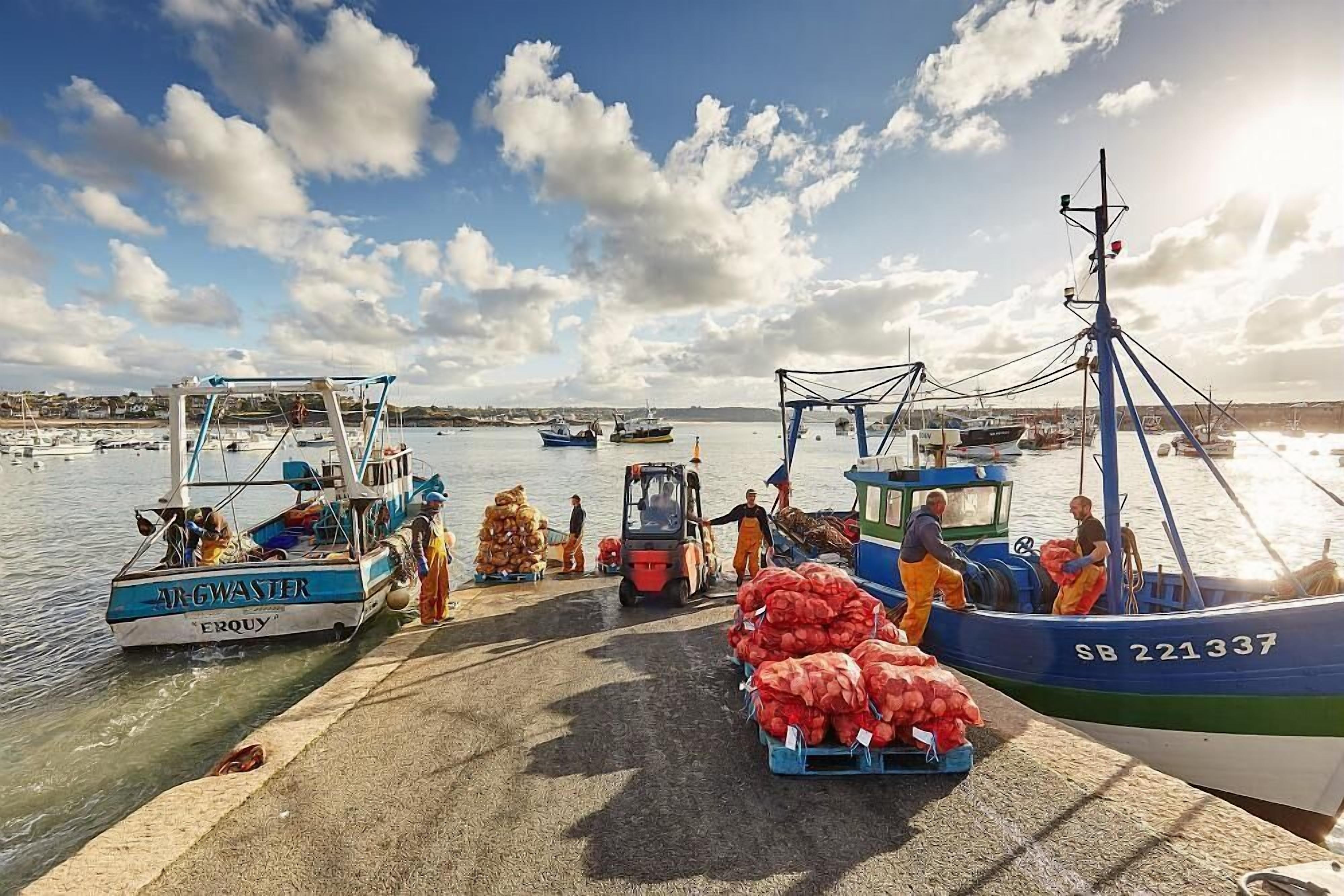Ein Hafen mit vertäuten Booten, einem Hubwagen und Personen, die Taschen auf ein Boot laden.