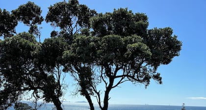 Gorgeous Whananaki bach with stunning sea views - walk to the beach & estuary.