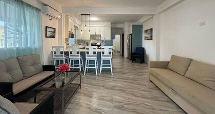 Modern apartment