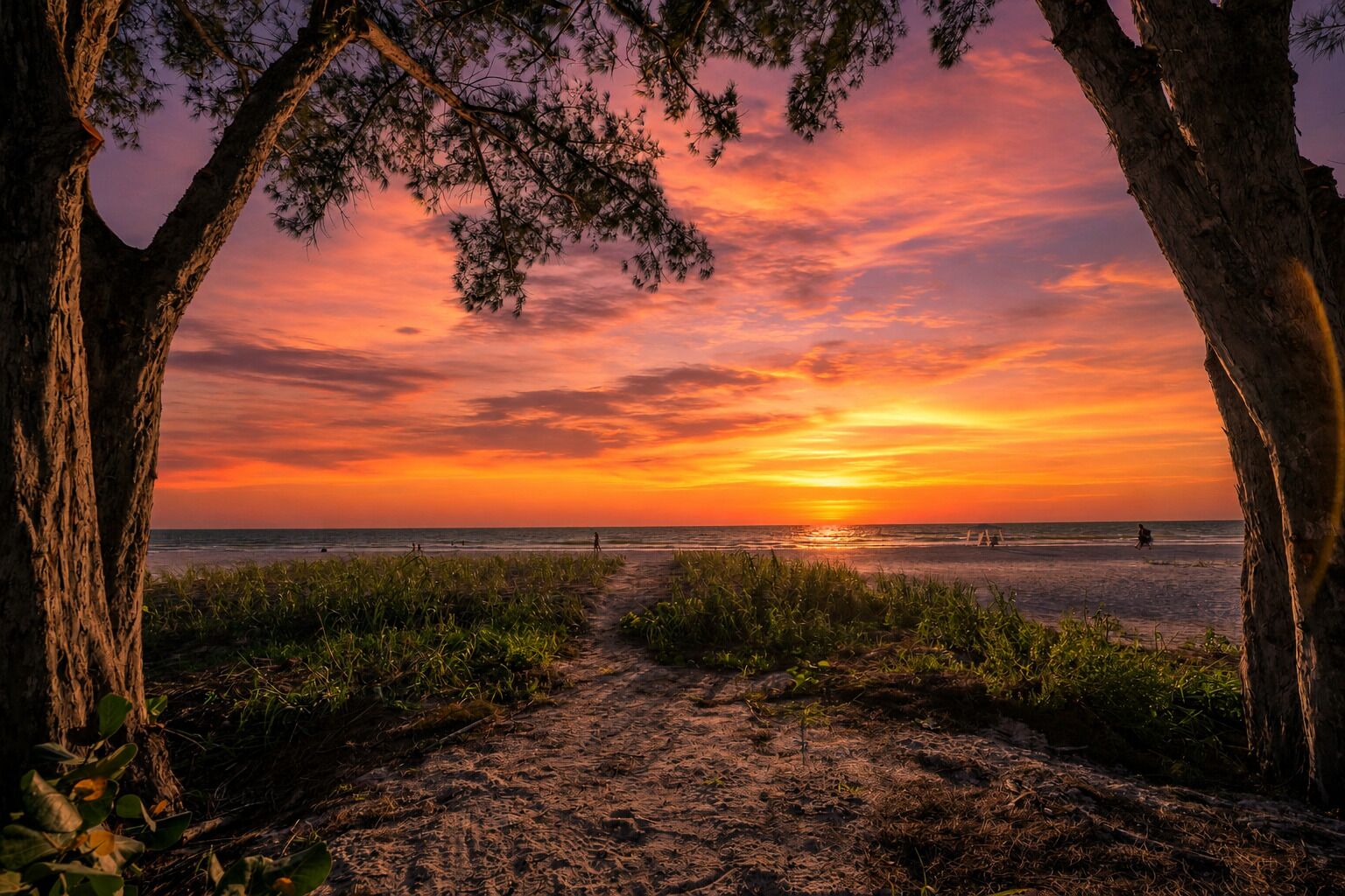 Strand