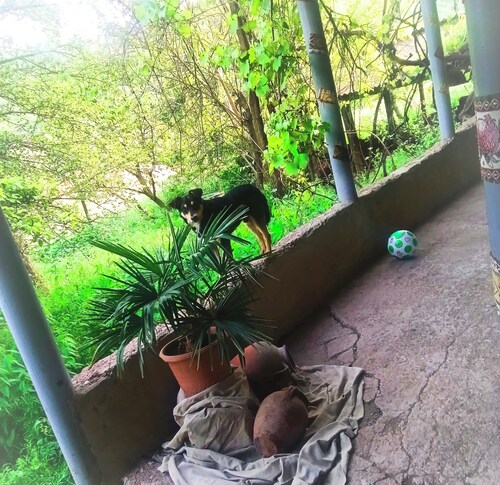 3-bedroom house in Tatev perfect for relaxing getaways