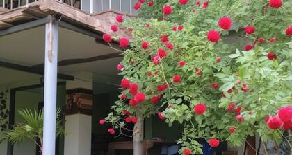 3-bedroom house in Tatev perfect for relaxing getaways