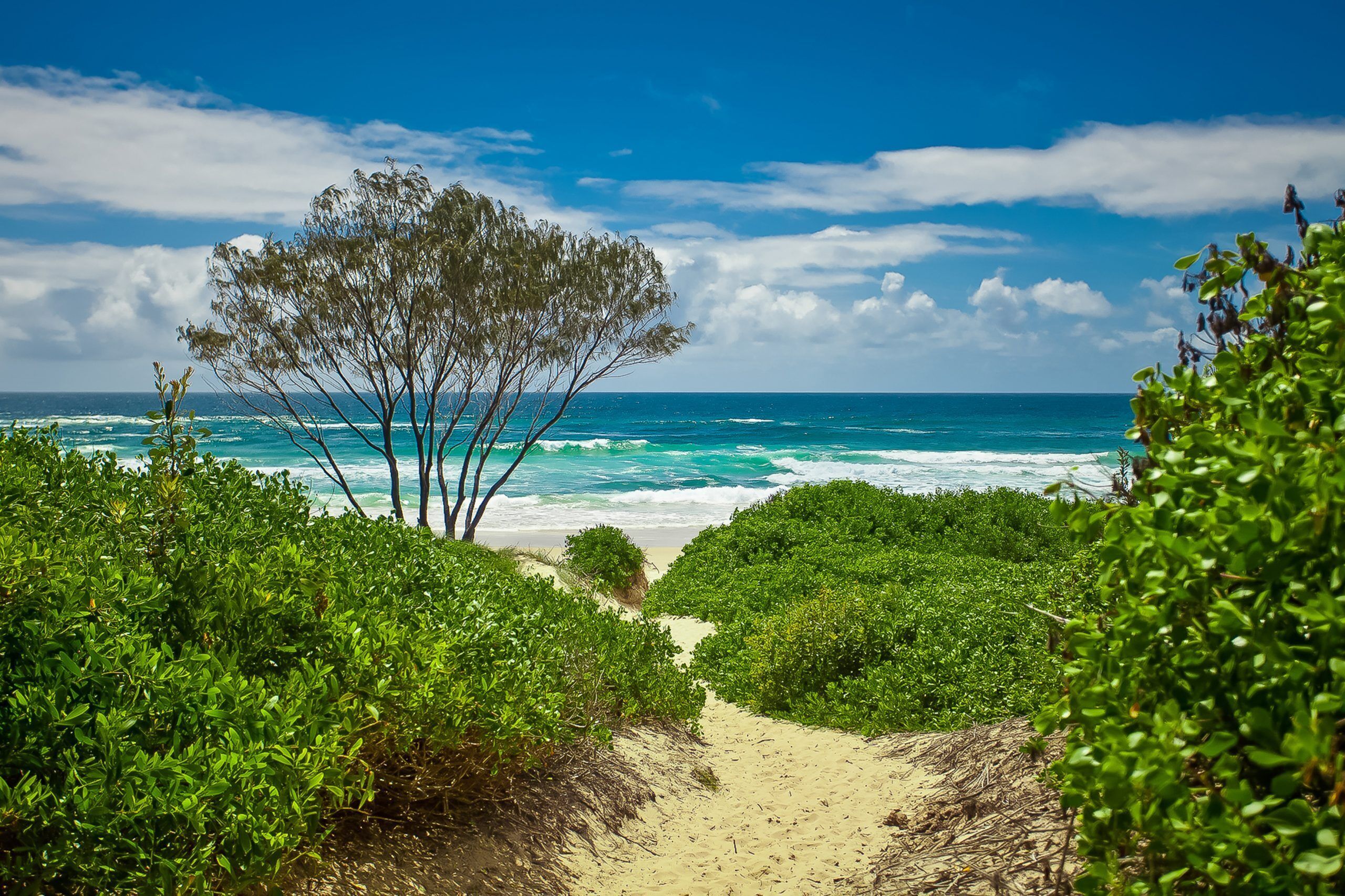 Praia