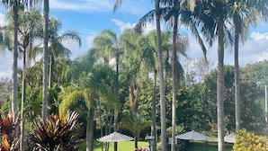 Een tropische tuin met palmbomen, gazon en gestreepte parasols.