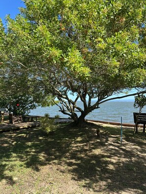 A tree-lined area with a bench and picnic table by a body of water. - Brisa da Lagoa - the best experience in Laguna (Laguna)