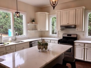 Private kitchen - Historic Suite with Ballroom for Rent on the Delaware River, 15 min to Philly (Riverton)