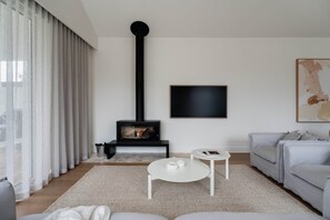 Televisión, chimenea