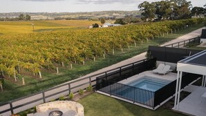 Un espace piscine extérieur moderne, doté d’un foyer en pierre, entouré d’une pelouse bien entretenue et avec un vignoble en arrière-plan.