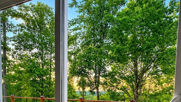 Un terrazzo in legno con una porta vetrata che dà su uno spazio esterno alberato.