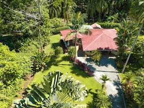 A house with a red roof surrounded by lush greenery and palm trees.