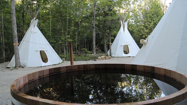 Une forêt avec trois tentes blanches et un bain à remous en bois.