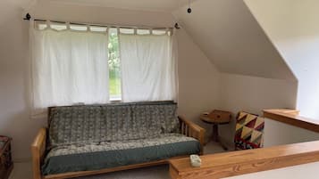 TV, fireplace, video games, DVD player